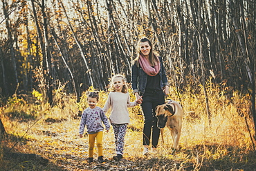 A beautiful mom and her two little daughers walking their Great Dane through the woods in a city park on a warm fall evening, Edmonton, Alberta, Canada