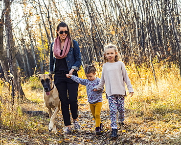 A beautiful mom and her two little daughers walking their Great Dane through the woods in a city park on a warm fall evening, Edmonton, Alberta, Canada