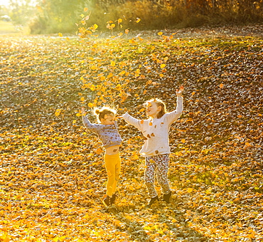 Two young girls playing and throwing leaves in the air in a city park at sunset on a warm fall evening, Edmonton, Alberta, Canada