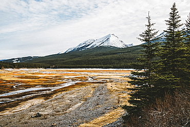 Rugged mountains, forest and fields in Jasper National Park, Alberta, Canada