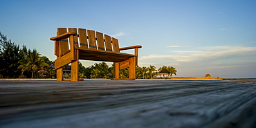 A wooden bench on a dock with palm trees along the coast, Belize