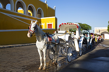 Decorated horses and carriages for tourists in the street, Izamal, Yucatan, Mexico