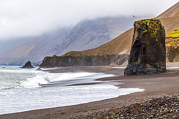 A remote black sand beach and rocky sea stack in Eastern Iceland in the summer fog, Iceland