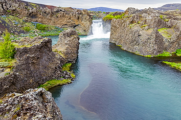 A wide angle view of the beautiful tourist stop at Hjalparfoss, Iceland where a pair of waterfalls and crystal blue water flow between fields of lupine flowers, Iceland