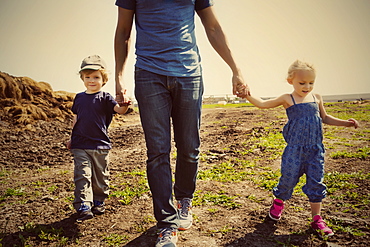 A father walks and holds hands with his young son and daughter on a farm, Edmonton, Alberta, Canada