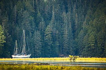 Sailboat in an estuary, Great Bear Rainforest, Hartley Bay, British Columbia, Canada