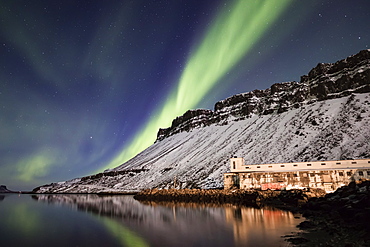 Aurora Borealis, or Northern lights, Djupavik, West Fjords, Iceland