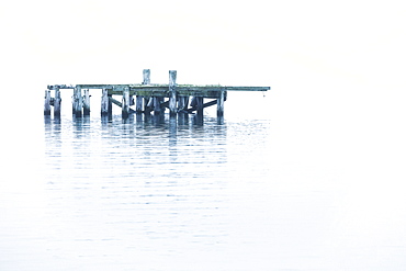 The old dock in the water near Djupavik, Djupavik, West Fjords, Iceland