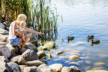 A young mother with enjoying quality time outdoors with her baby daughter watching and feeding some ducks together in a city park on a warm summer day, Edmonton, Alberta, Canada