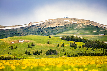 Medicine Wheel, Medicine Mountain National Historic Landmark, Lovell, Wyoming, United States of America