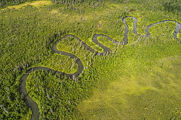 Meandering stream winding its way through the Yukon wilderness, Yukon Territory, Canada