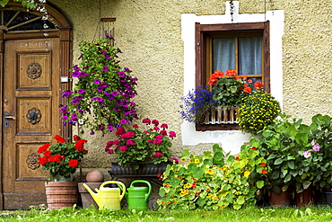 House with colourful flowers blooming and a wooden front door, Dobbiaco, Bolzano, Italy