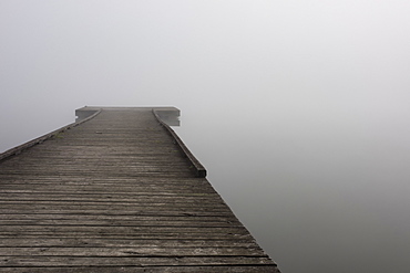 A small wooden dock with dense fog at the end over the water of Scott Lake in autumn, Olympia, Washington, United States of America