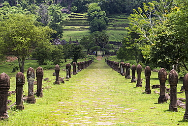 Causeway bordered by sandstone posts, Vat Phou Temple Complex, Champasak, Laos