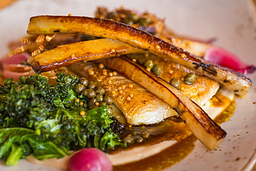 Plate of halibut with parsnips and kale, Hotel Husafell, Iceland