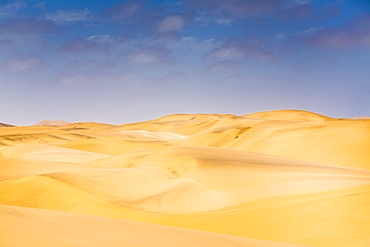 Golden sand dunes in the Namibia desert, Sossusvlei, Hardap Region, Namibia