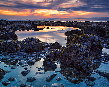 Warm colours from a sunset sky reflect in the tide pools on Acadia Beach, Vancouver, British Columbia, Canada