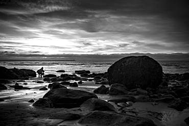 Black and white image of Wreck Beach at sunset, Vancouver, British Columbia, Canada