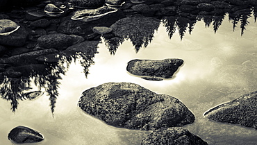 Surface of rocks in clear, shallow water and the reflection of trees from the shoreline, British Columbia, Canada