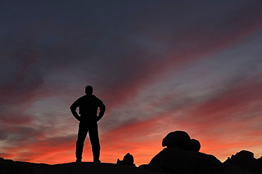 Silhouette of a man watching the sunset in Joshua Tree National Park, California, United States of America