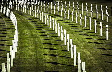 Rows of white crosses on grass, Cambridge American Cemetery and Memorial, Cambridge, Cambridgeshire, England