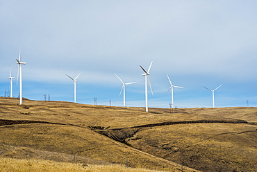 Wind turbines mark the horizon in Eastern Washington, Maryhill, Washington, United States of America