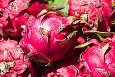 Close-up of Dragon fruit (pitaya) for sale at the Central Market Hall, Phnom Penh, Cambodia