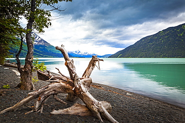 Kenai Lake beach, Chugach National Forest, South-central Alaska in summertime, Alaska, United States of America