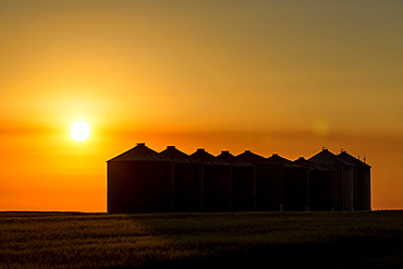 Silhouette of large metal grain bins at sunrise with an orange sun and an orange cast sky, East of Calgary, Alberta, Canada