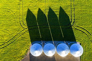 Directly above large metal grain bins in a green field of canola with long dramatic shadows across the field, East of Calgary, Alberta, Canada