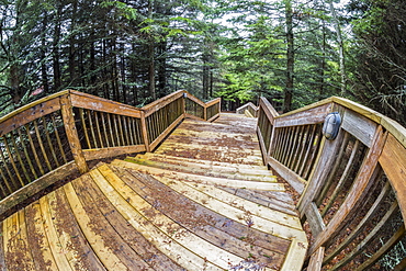 Wooden steps at the Gardens of Hope respite cottage, New Glasgow, Prince Edward Island, Canada