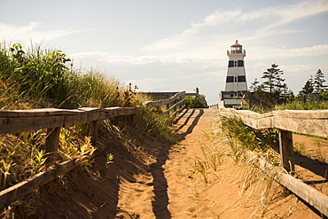 A sandy trail and wooden rail fence leading to a lighthouse on the coast, Prince Edward Island, Canada