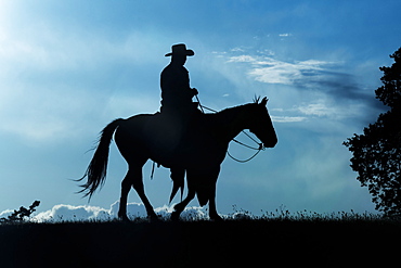 Silhouette of a cowboy riding a horse against a blue sky with cloud, Montana, United States of America