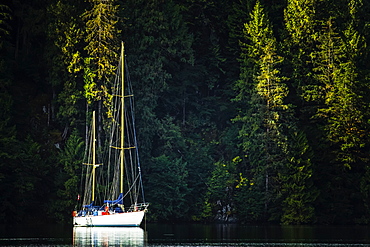 Sailboat in the Great Bear Rainforest at sunrise, Hartley Bay, British Columbia, Canada