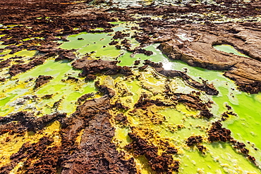 Acidic pools, mineral formations, salt deposits in the crater of Dallol Volcano, Danakil Depression, Afar Region, Ethiopia