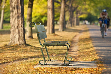 Bench at the roadside with cyclist in the background, Charles River, Boston, Suffolk County, Massachusetts, USA