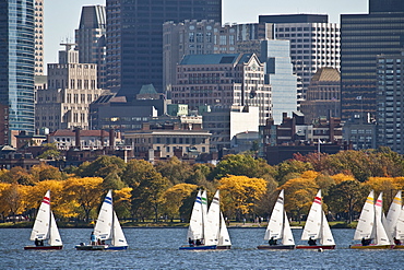 Sailboats in the river with skyscraper in the background, Charles River, Back Bay, Boston, Suffolk County, Massachusetts, USA