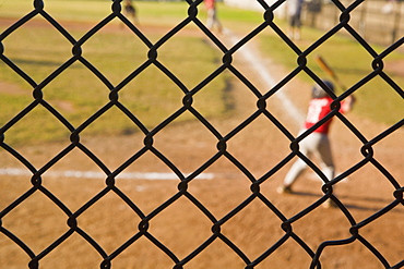 Players playing baseball, Langone Park, Boston, Suffolk County, Massachusetts, USA