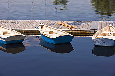 Row boats in the river, Charles River, Boston, Suffolk County, Massachusetts, USA