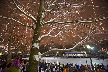 People at an ice rink on new year's eve, Frog Pond, Boston Common, Boston, Suffolk County, Massachusetts, USA