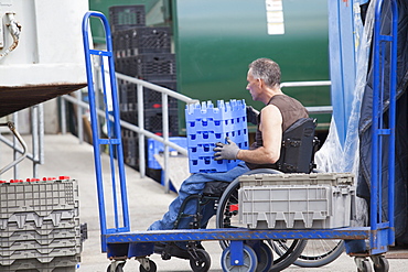 Loading dock worker with spinal cord injury in a wheelchair moving stacked inventory trays