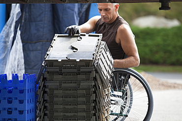 Loading dock worker with spinal cord injury in a wheelchair moving stacked inventory trays