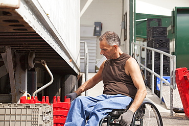 Loading dock worker with spinal cord injury in a wheelchair stacking inventory trays