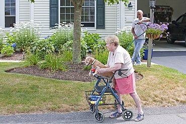 Senior man watering flowers while neighbor with walker and dog goes by