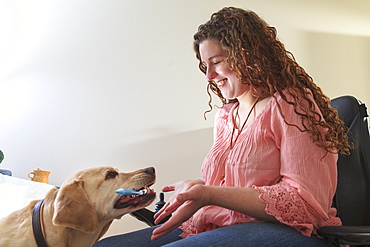 Woman with Muscular Dystrophy in her power chair working with her service dog to hand her items