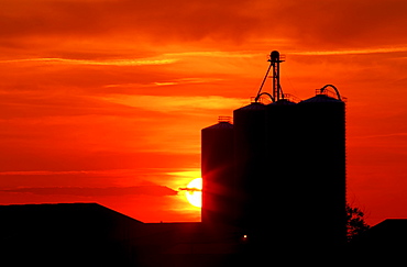 Agriculture - Silhouetted grain elevators at sunset / Alberta, Canada.