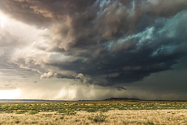 Dramatic dark storm clouds over scrubland; New Mexico, United States of America