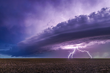 Dramatic storm clouds with forked lightning over farmland; Guymon, Oklahoma, United States of America