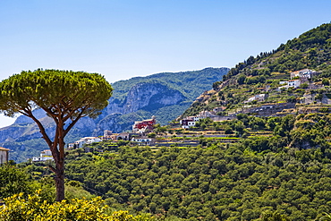 Houses on a hillside in the countryside above the Amalfi Coast; Ravello, Salerno, Italy