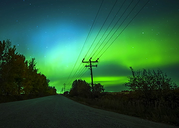 Northern Lights glowing green in the starry sky above a rural road and transmission lines, Sturgeon County; Alberta, Canada